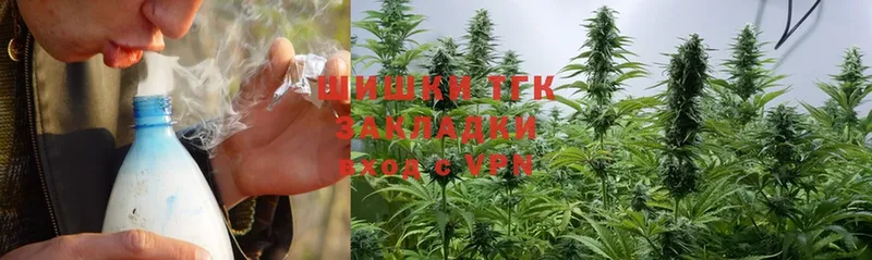 Каннабис индика  Шагонар 